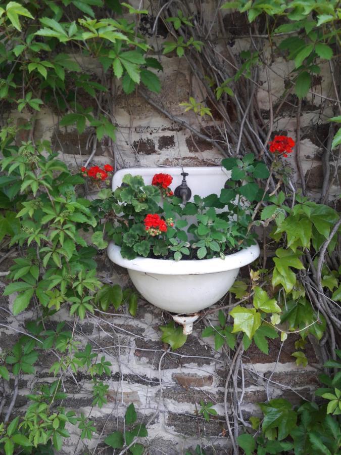 Babamuzeum Kis Apartman Tihany Esterno foto